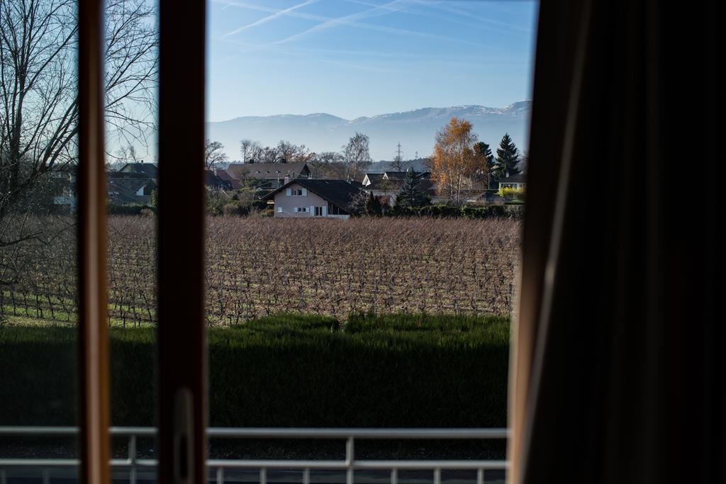 Motel Le Léman Commugny Esterno foto